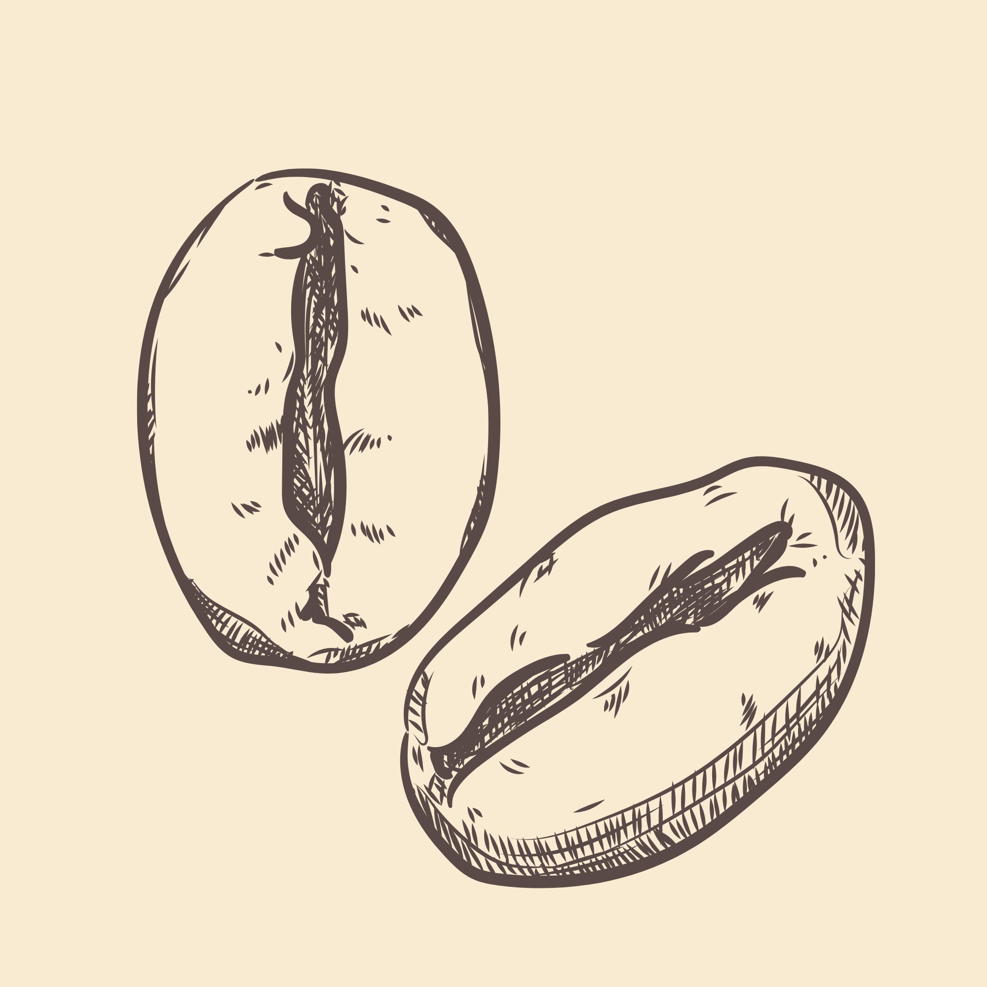 Tostatura Scura